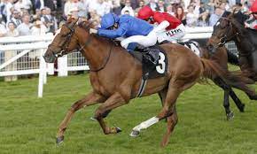 download - 2022-12-29T105236.551.jpg