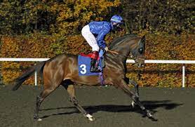 download - 2022-12-29T104839.711.jpg