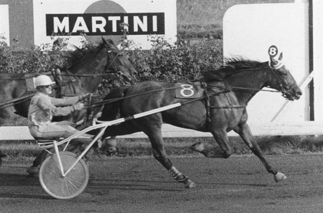 Mai Regina 25-8-1976.jpg