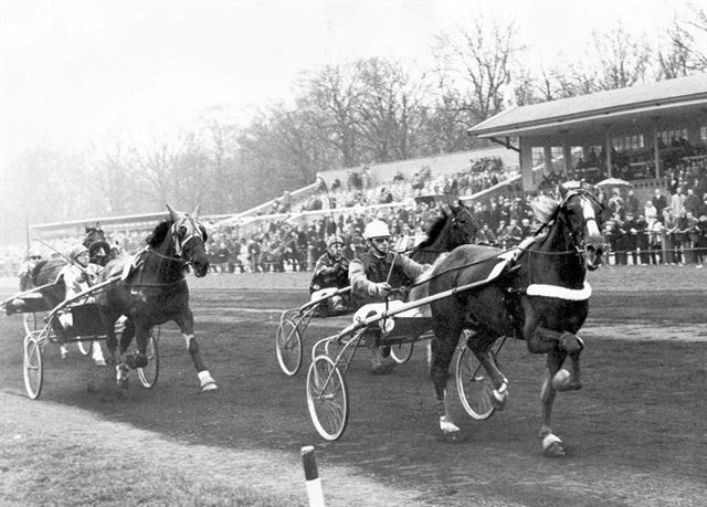 Herman 4-4-1971.jpg