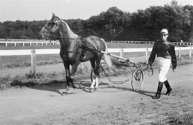 Herman 01a.jpg