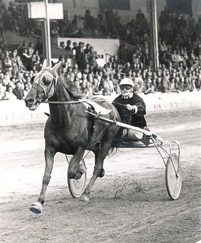 Makker 15-07-78.jpg