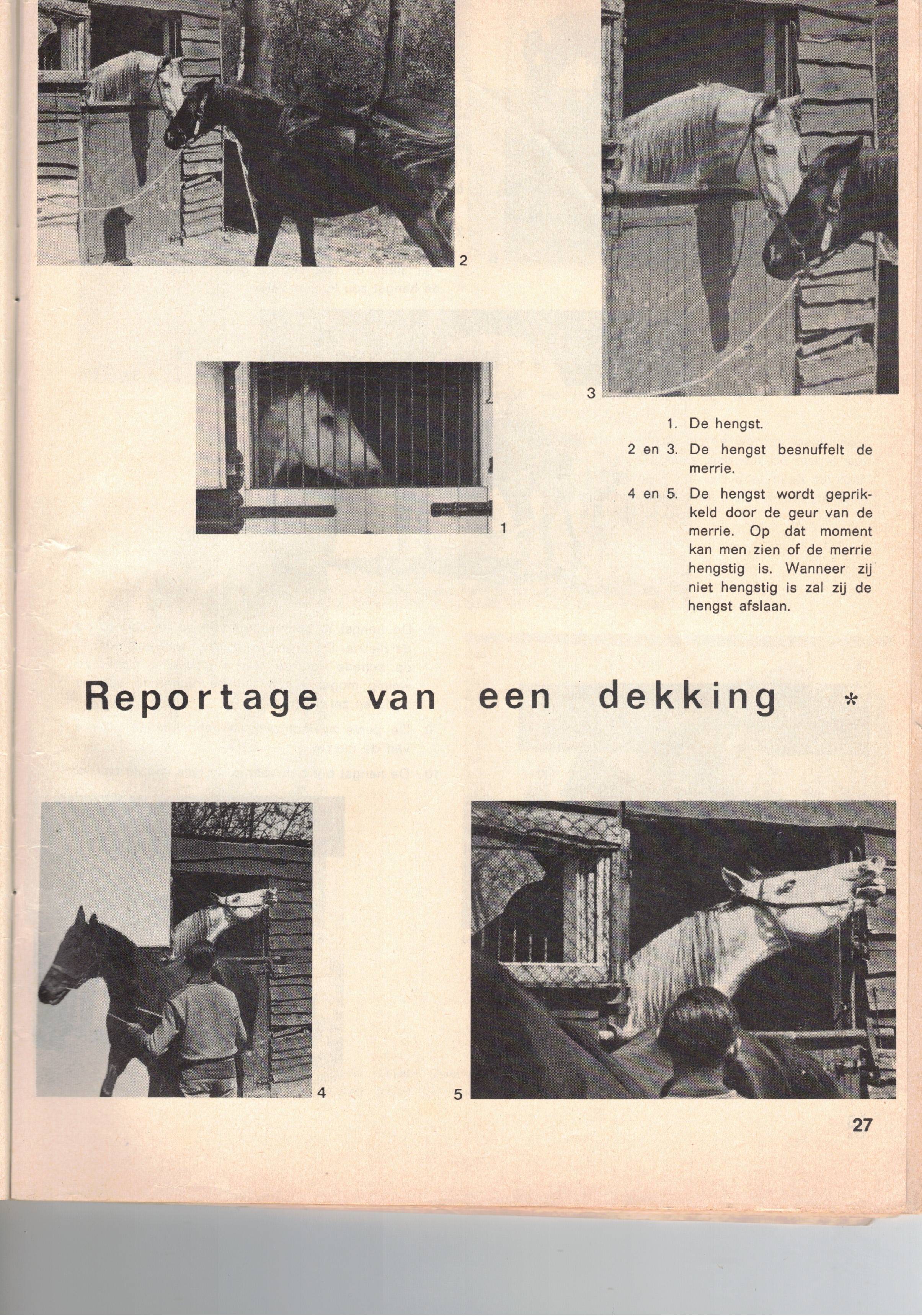 Scan2023-01-18_175448.jpg