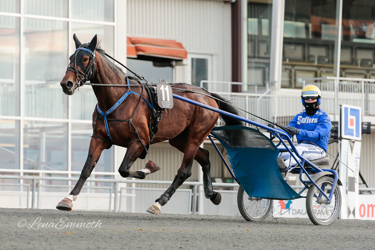 hes-marvelous-foto-lena-emmoth-stallkenny-andelshast-bjorn-goop-solvalla.jpg