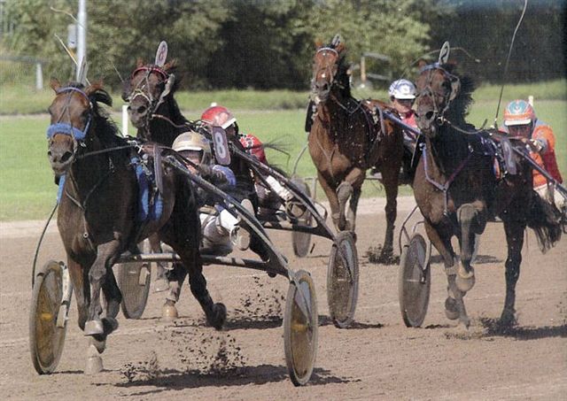 Yucca Boko Derby.jpg