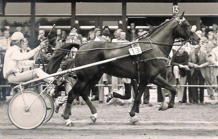 Largo 24-8-1975 (1).jpg