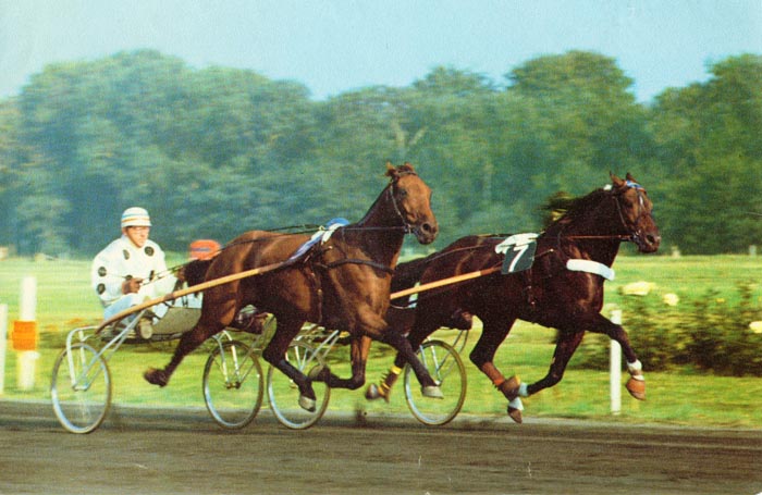 Henri KvN 1971 met Eland.jpg