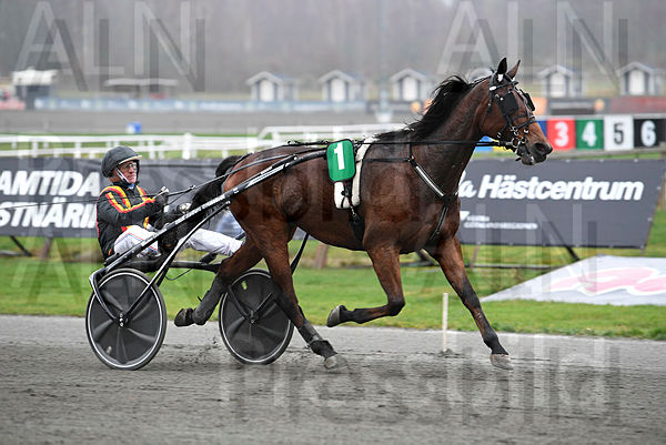 Muscle Lane segerdef 412.t6388a1c5.m600.w.4salnwmark2.png.xUSwkUnZE.jpg