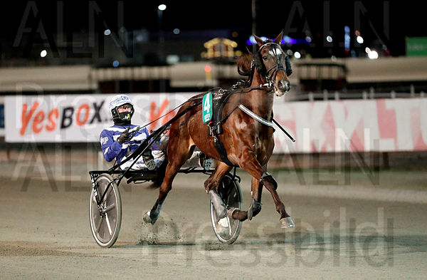 Just More Fun heat 1.t61a11ed1.m600.w.4salnwmark2.png.xSZ0CPLF_.jpg