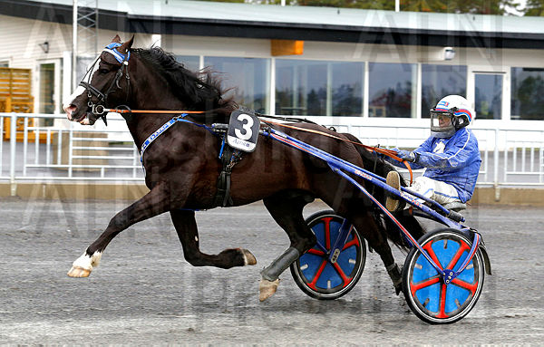 Alma Prins heat 1.t5edd097a.m600.w.4salnwmark2.png.xBVpJPNao (1).jpg