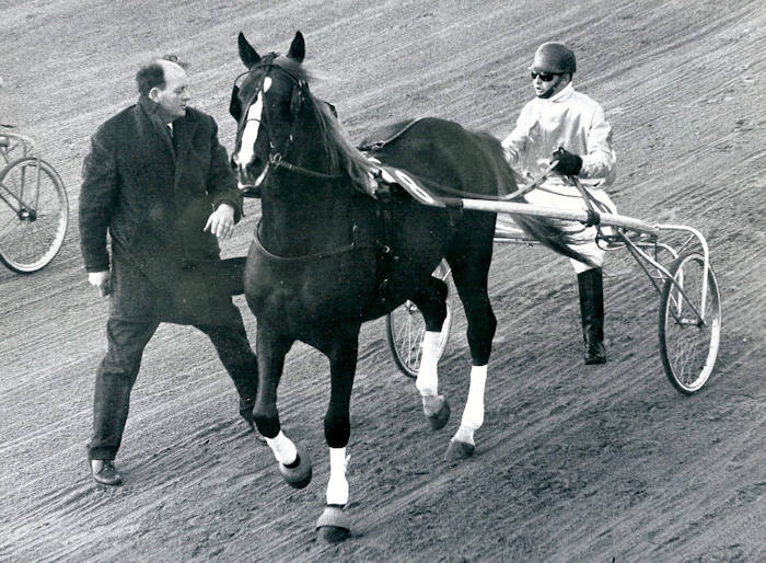 Goudvos 16-6-1968 e.jpg