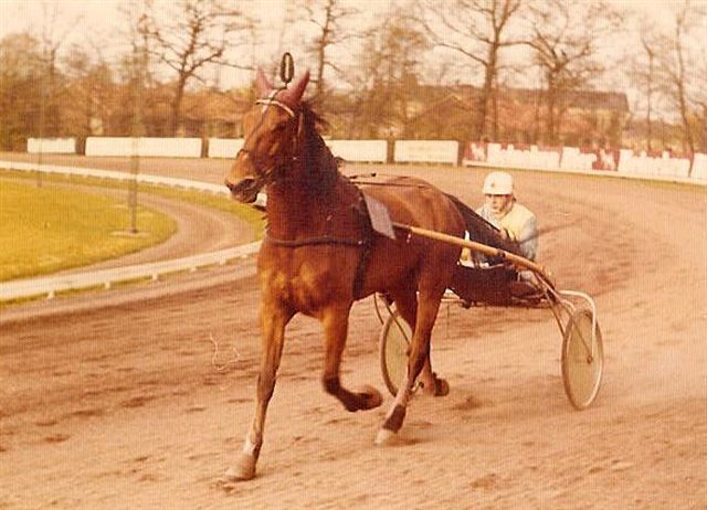 Herbert Norton 01.jpg