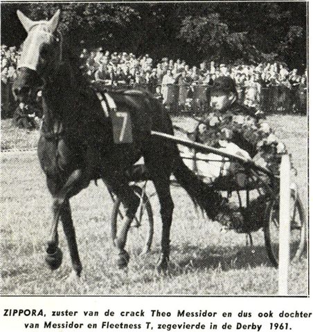Zippora Derby ere (1).jpg
