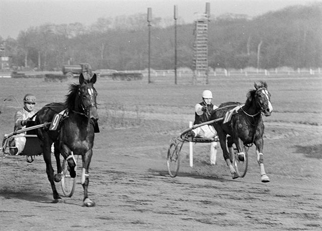 ANP Gijsbert AB 23-3-1969.jpg