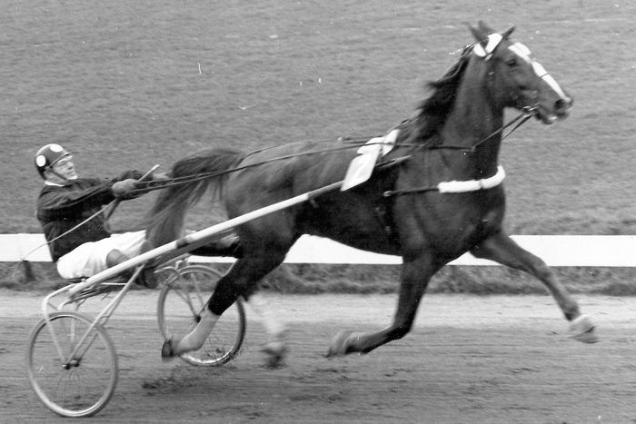 Fandango 14-3-71.jpg