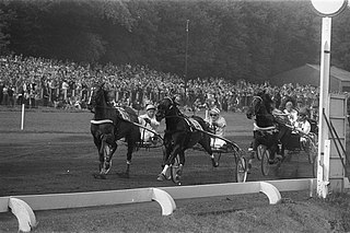 Grote_Prijs_der_Lage_Landen._Renpaard_Fideel_met_jockey_George_Desoete_(m)_gaat_,_Bestanddeelnr_925-6927.jpg