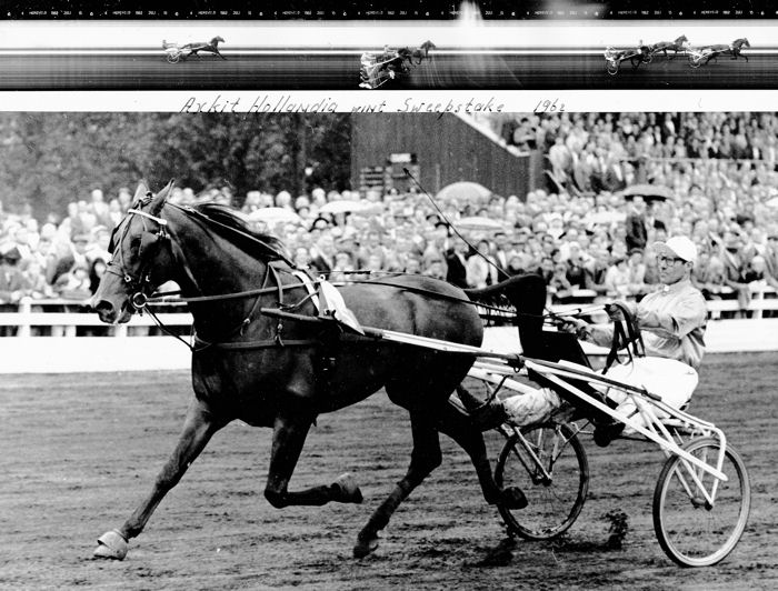 Axkit Hollandia Swstakes (1).jpg