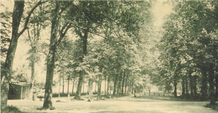 Alkmaar Harddraverslaan 1899.jpg