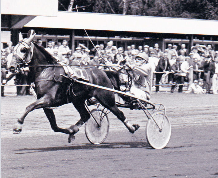 Taxcoh A  13-6-1982.jpg