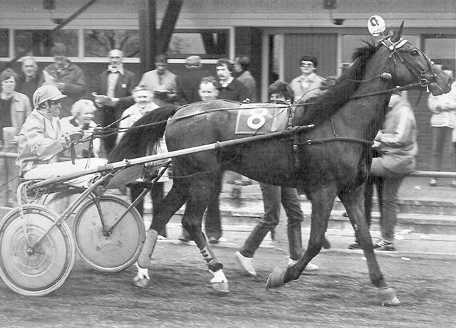 Raavo Nurmi 18-4-1981.jpg