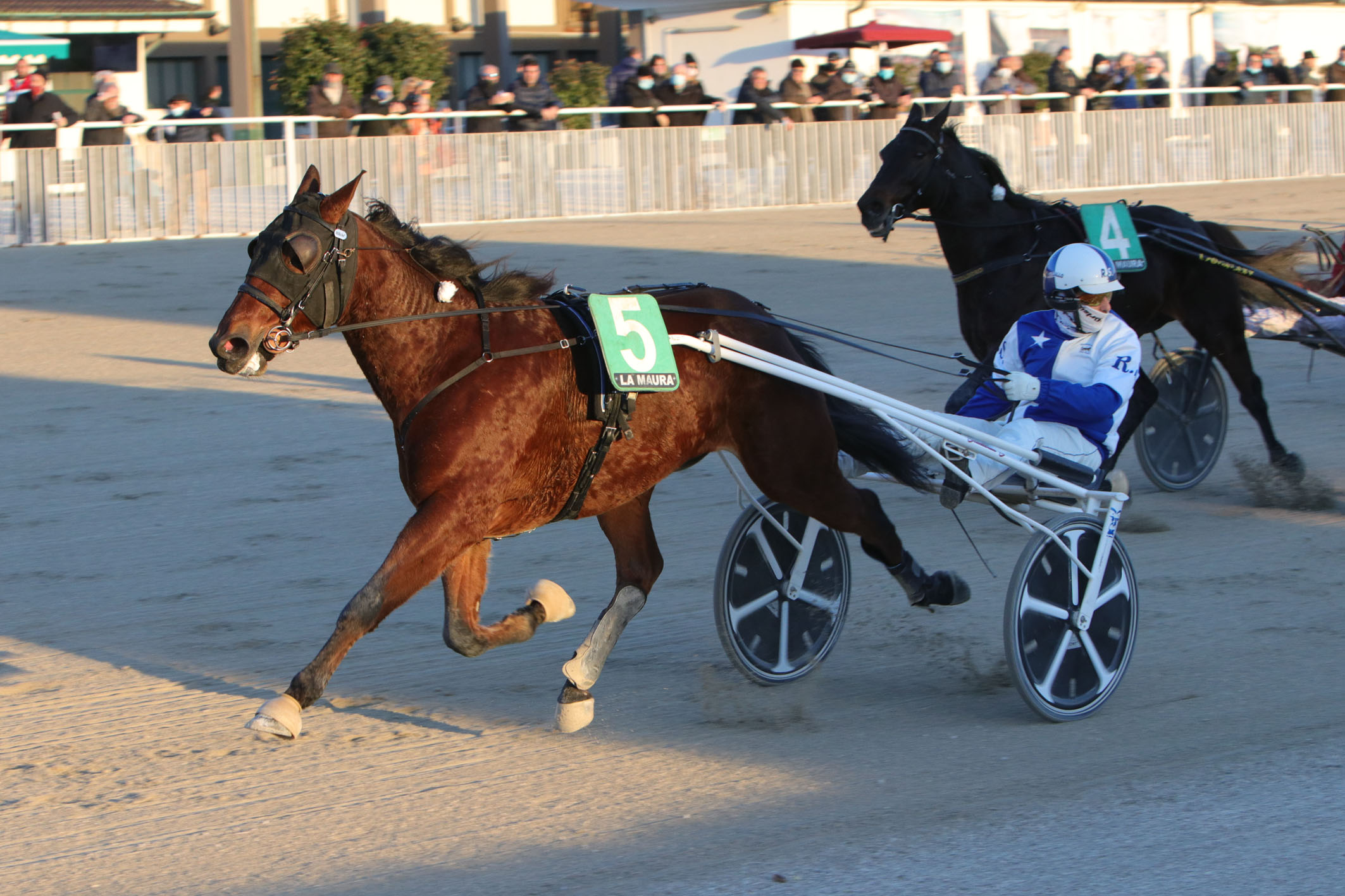 29a8dd01ece9f12da29c12f393c04e99f8f3069f.jpg