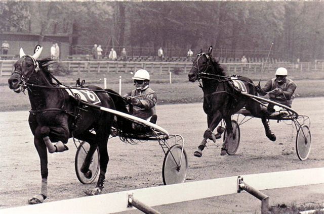 Way to Fortuna Osloprijs.jpg