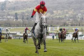 download - 2023-04-07T123245.247.jpg