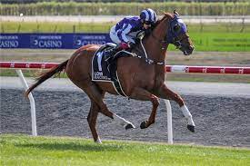 download - 2023-04-07T133422.931.jpg