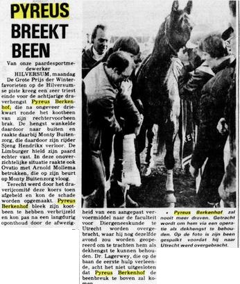 Pyreus Berkenhof.jpg