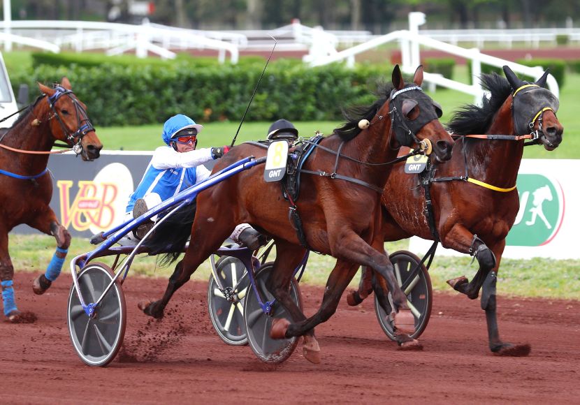 Gaspar_d_Angis_GNT_Lyon-Par._830580_scoopdyga.jpg