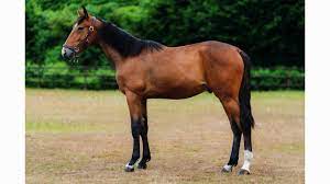 download - 2023-04-18T100103.585.jpg