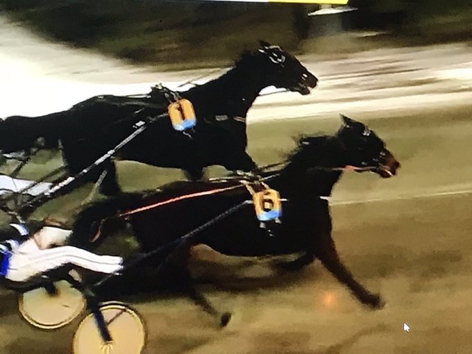 verykronosflorisbaldwinV75Solvalla2ekerstdag.jpg