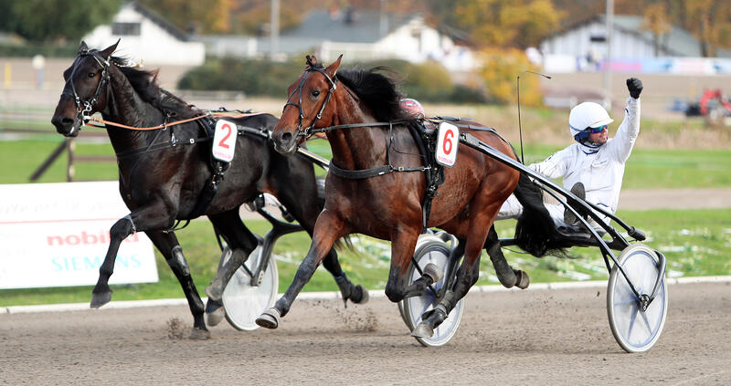 Danny-Brouwer-und-Cincinnati-Beach-S-Foto-Marius-Schwarz_billboard (1).jpg