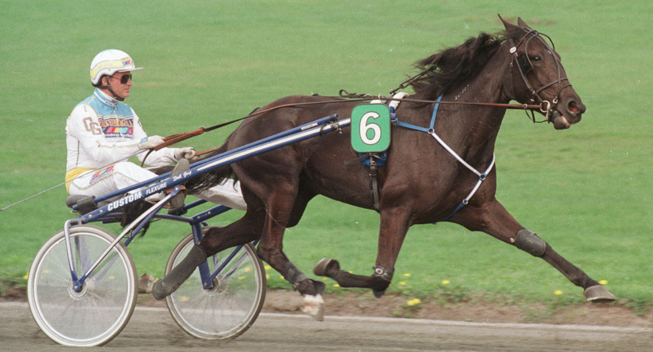 mackactionasogartikelbild-1280 (2).jpg