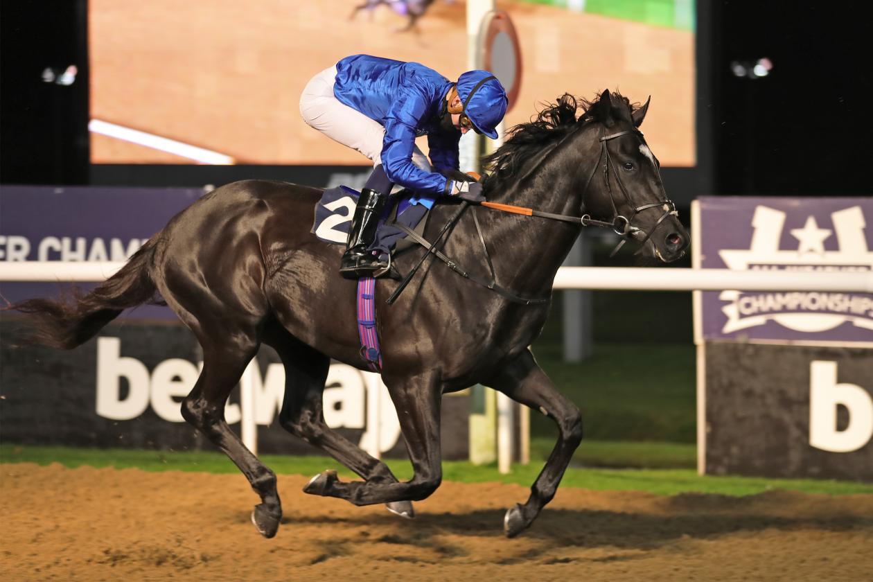 Big Team - 1st - Maiden Stakes - Wolverhampton, UK - 16 November 2020 -racingfotos_64335013678.jpg
