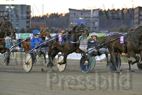 Milan Boko heat.t6443c525.m600.w.4salnwmark2.png.xewWMKHEb.jpg