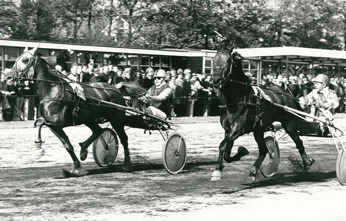 Kobalien W 31-5-1975.jpg