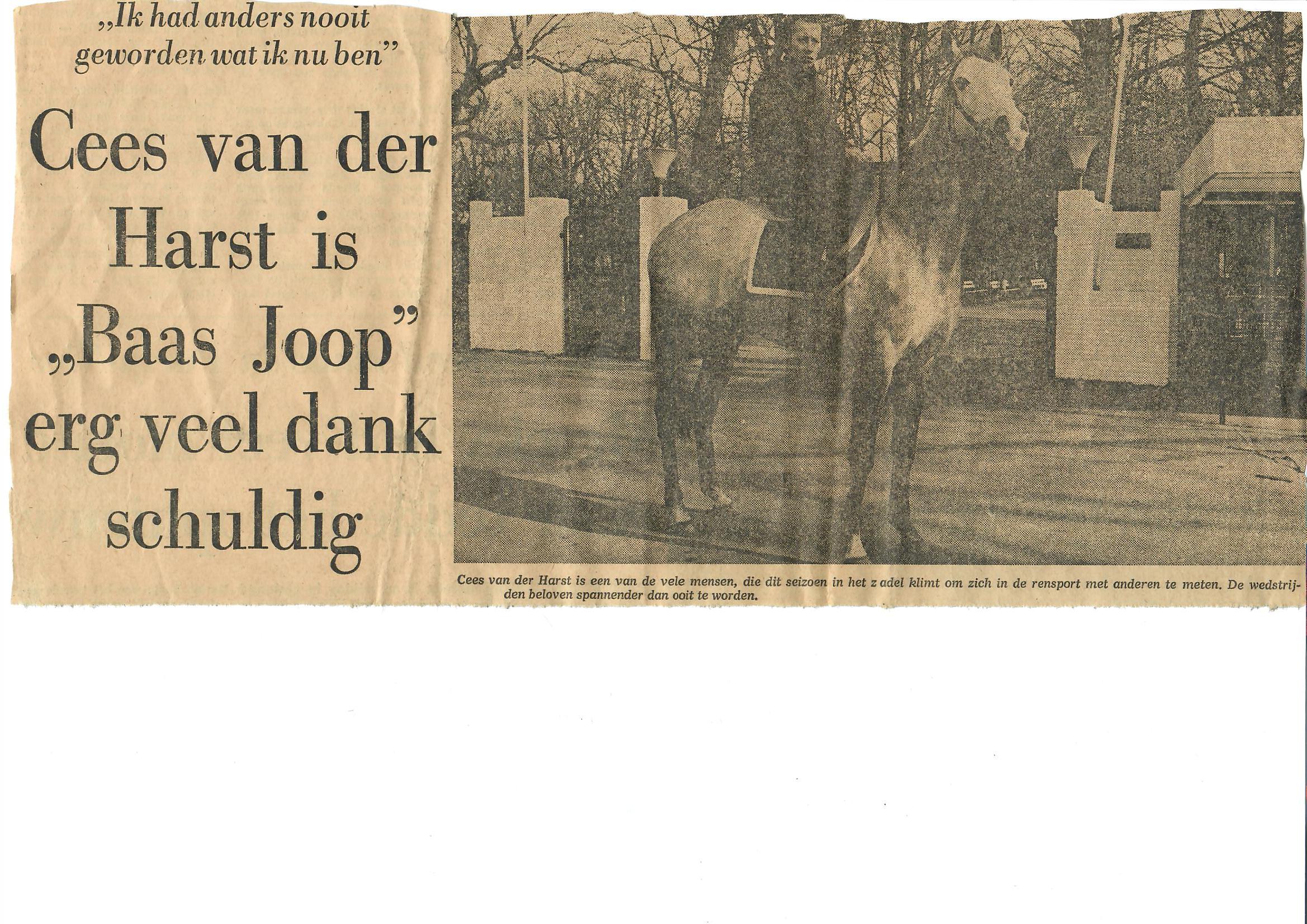 Scan 33.jpeg