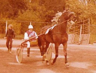 Junibes B 01 (1).jpg