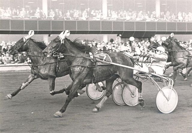 Petra Morgan 15-2-81.jpg