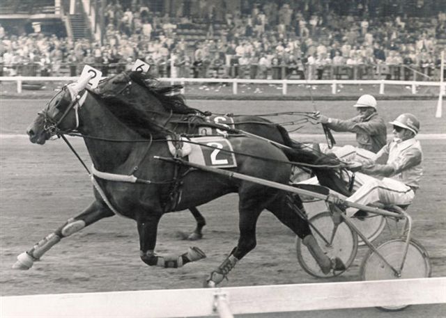 Ossian Spr 85 (2).jpg