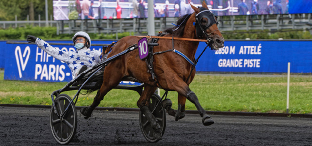 goonboy_1280x600.jpg