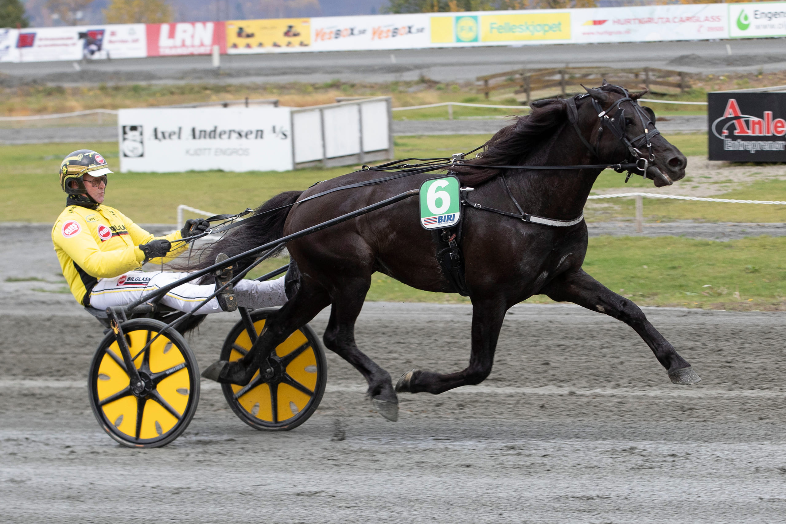 Grisle_Odin_GL_S8I8236-scaled.jpg