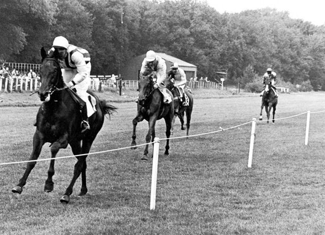 Dark Horse Brienen Mem 72.jpg