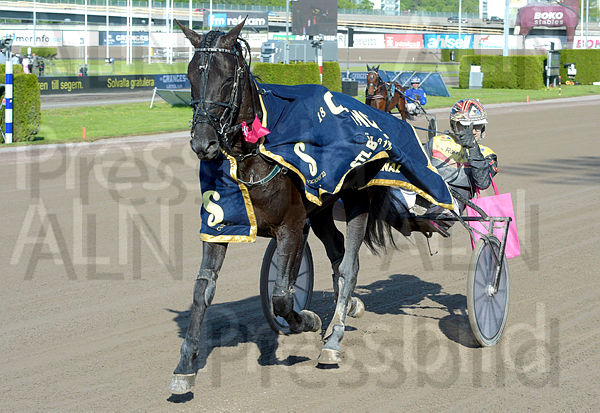 Castor The Star def.t64726277.m600.w.4salnwmark2.png.xknWstXDG.jpg