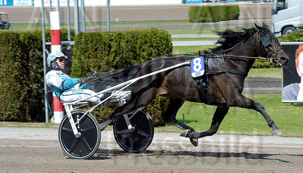 Ready Tonight upplopp.t64742c98.m600.w.4salnwmark2.png.xde2E7Q2a.jpg