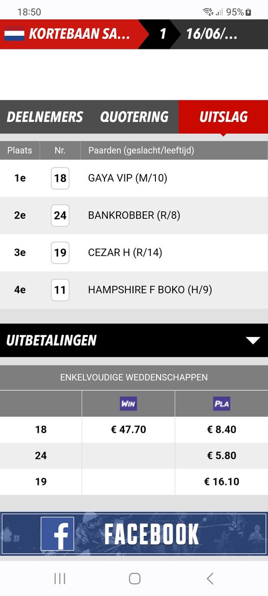 Uitslag.jpg