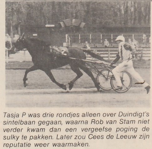 Tasja P Geplaatst.jpg