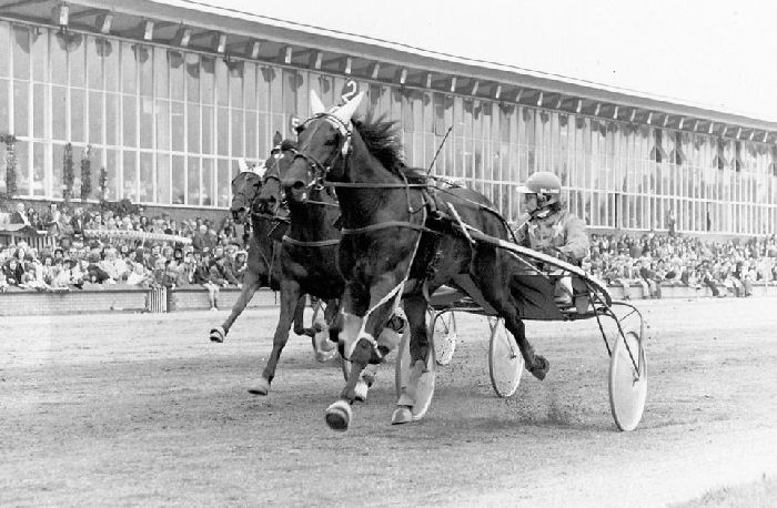 Norbert 8-5-75.jpg