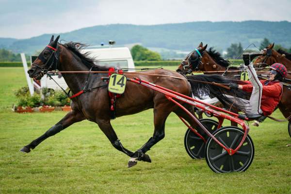 MD_00230740-001-scoopdyga_GAUDEO.jpg